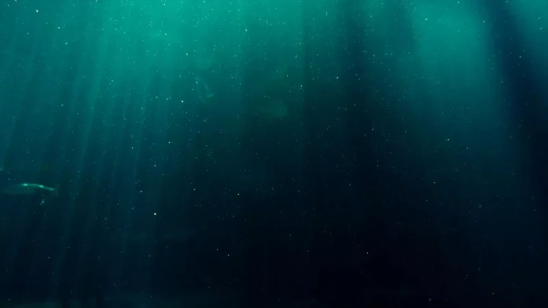 Ungkap Misteri Suara Aneh Dari Bawah Laut Samudera Yang Mengerikan