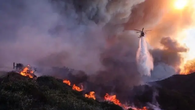 Dampak Kebakaran Hutan di Los Angeles Bagi Selebriti