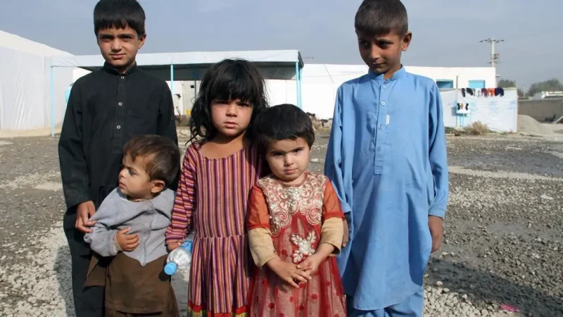 Begitu Banyak Anak Pengungsi Afghanistan di Swedia Mendapat Pekerjaan