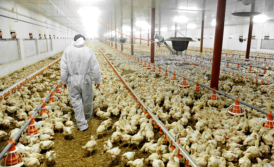 Dewan Negara Memperingatkan Wiersma Atas Rencana Untuk Petani Tanpa Izin