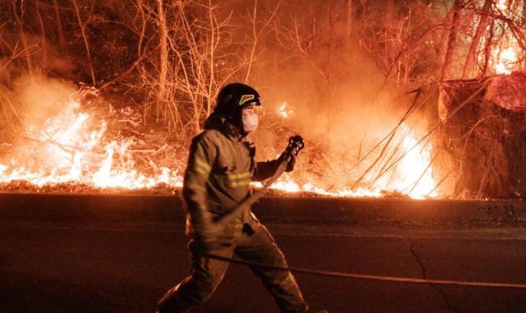 Korea Selatan Berjuang Mengatasi Kebakaran Hutan yang Mematikan
