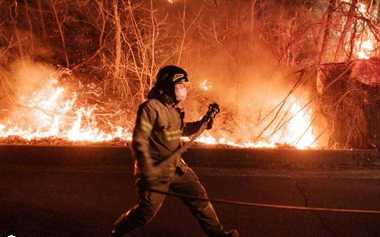 Korea Selatan Berjuang Mengatasi Kebakaran Hutan yang Mematikan