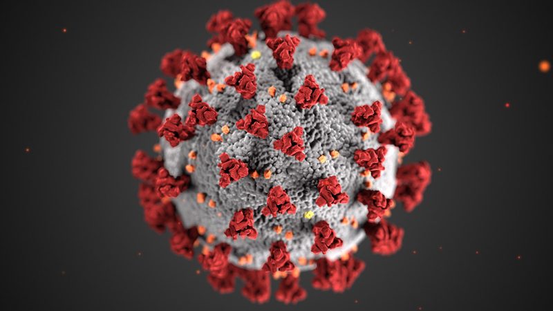 Pneumonia Melanda Jepang, Simak 6 Anjuran dari Pakar Kesehatan untuk Pelancong