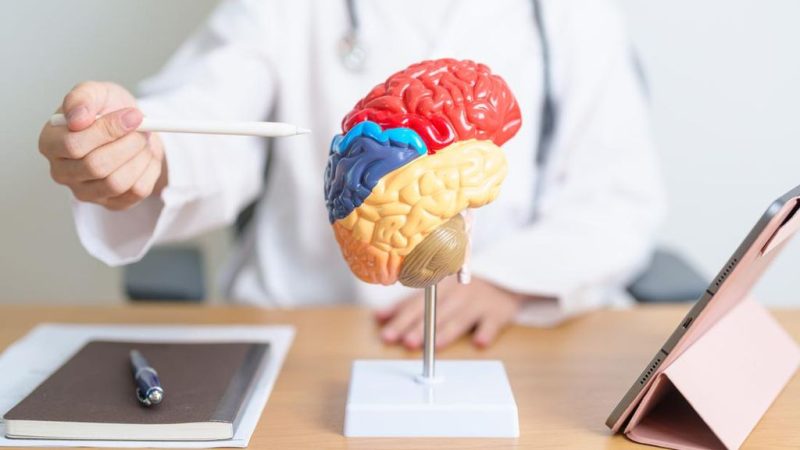 Nutrisi Cerdas: Makanan dan Minuman yang Meningkatkan Kesehatan Otak Menurut Para Ahli Neurologi