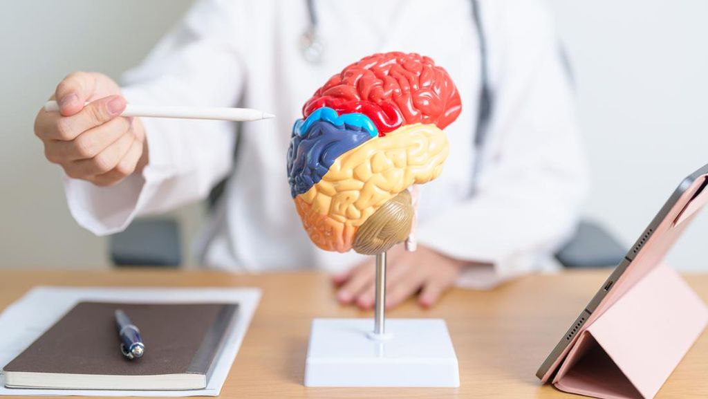 Nutrisi Cerdas: Makanan dan Minuman yang Meningkatkan Kesehatan Otak Menurut Para Ahli Neurologi