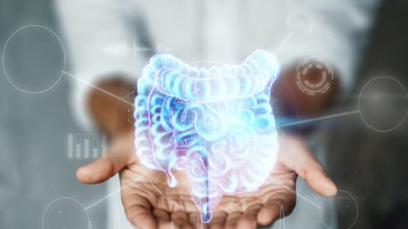 Usus Sehat, Hidup Hebat: Rahasia Kecil di Perut untuk Tubuh yang Kuat